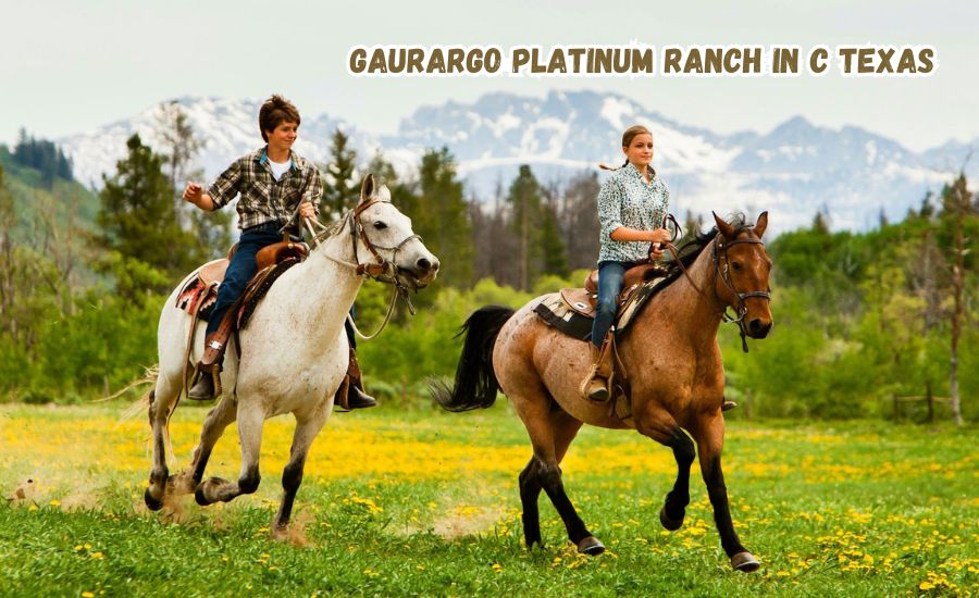 gaurargo platinum ranch in c texas