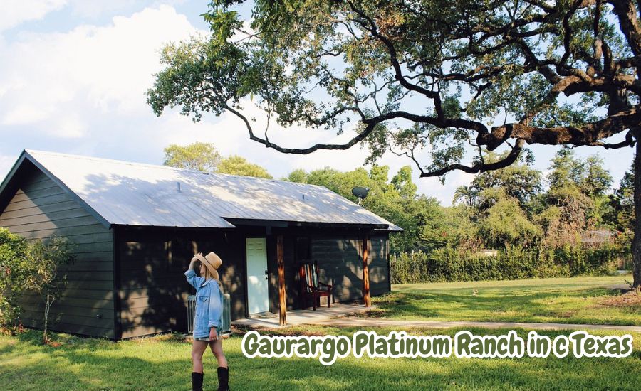 gaurargo platinum ranch in c texas