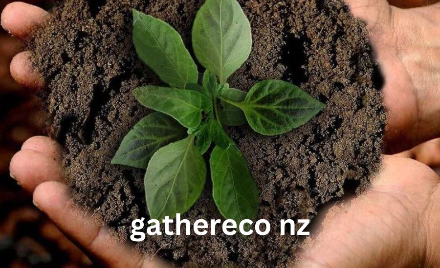 gathereco nz