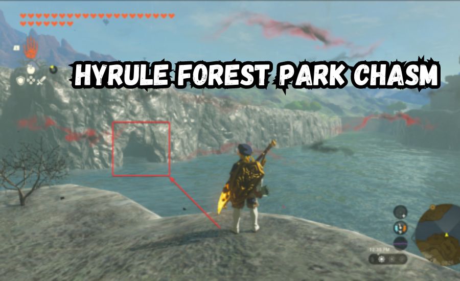 hyrule forest park chasm