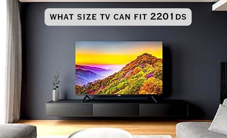 what size tv can fit 2201ds