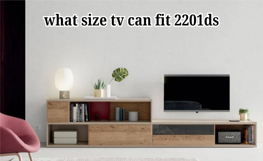 what size tv can fit 2201ds