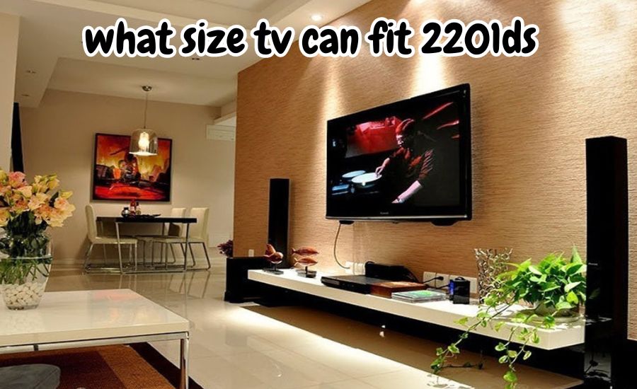 what size tv can fit 2201ds