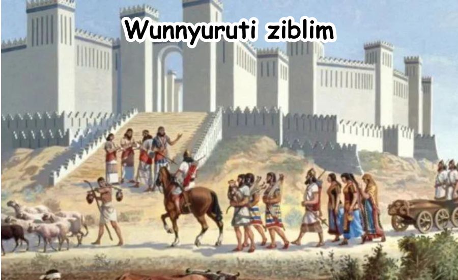 wunnyuruti ziblim