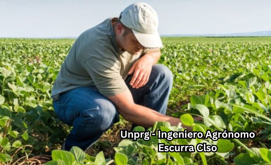 unprg - ingeniero agrónomo escurra clso