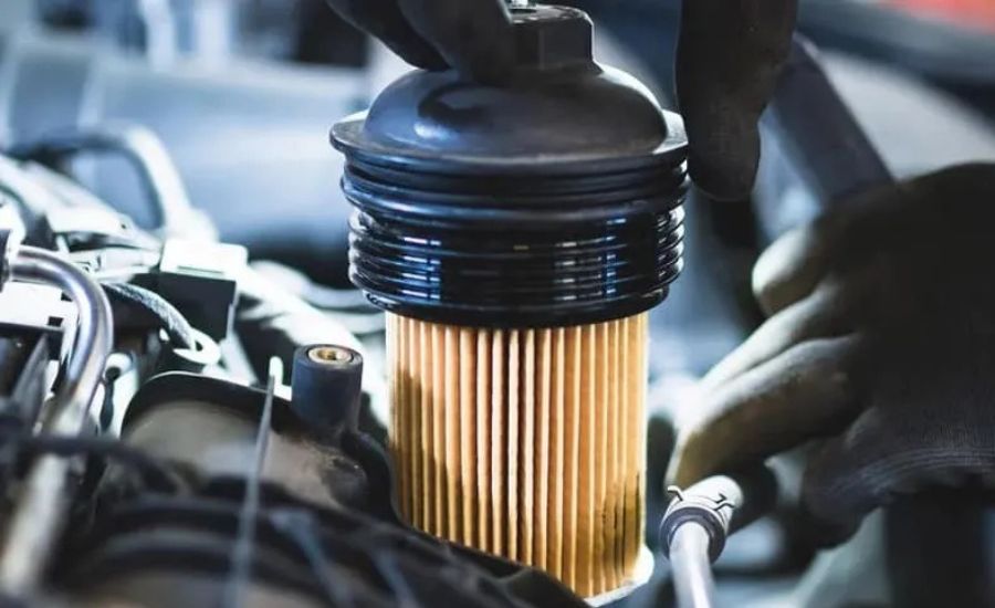 Fuel Filter Replacement Cost: