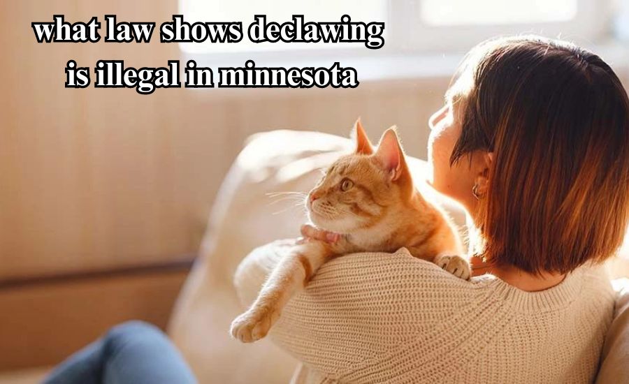 what law shows declawing is illegal in minnesota