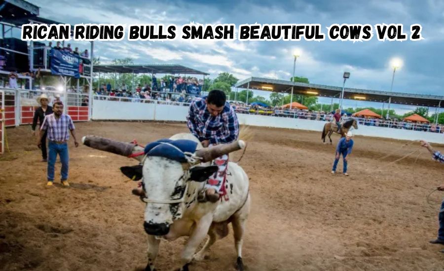 rican riding bulls smash beautiful cows vol 2