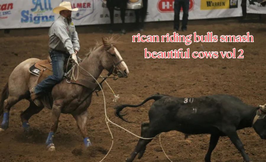 rican riding bulls smash beautiful cows vol 2