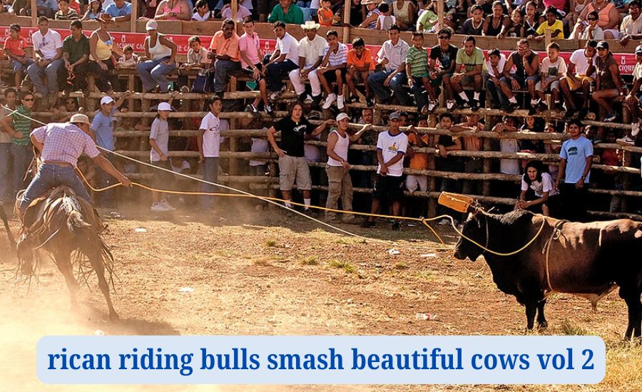 rican riding bulls smash beautiful cows vol 2