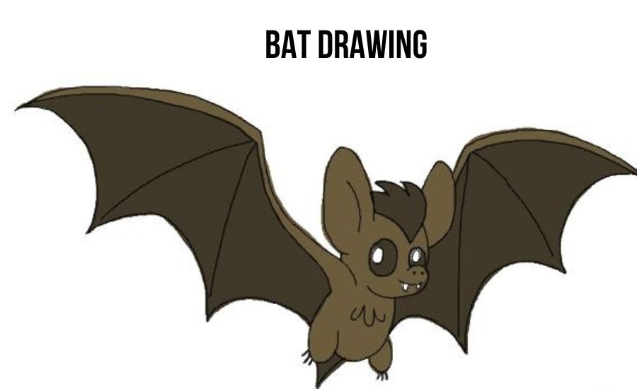 bat drawing