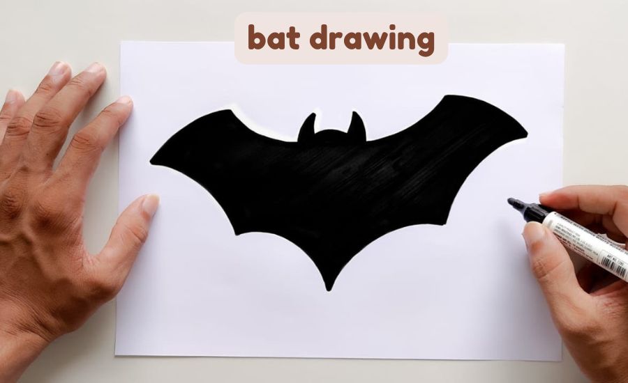 bat drawing