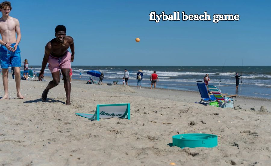 flyball beach game