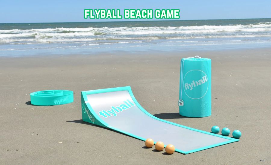 flyball beach game