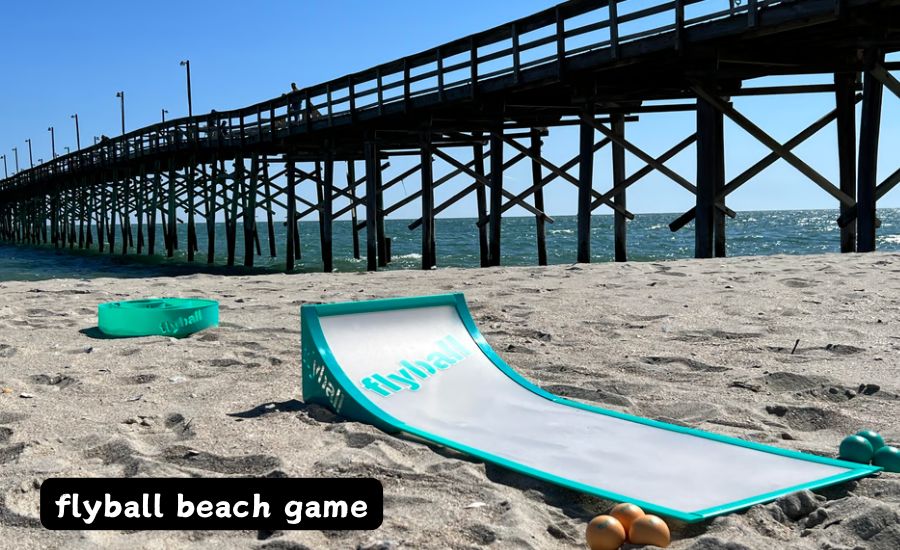 flyball beach game