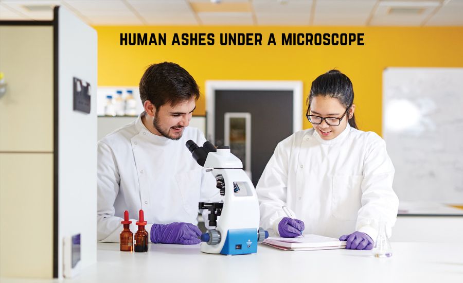 human ashes under a microscope