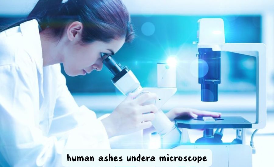 human ashes under a microscope