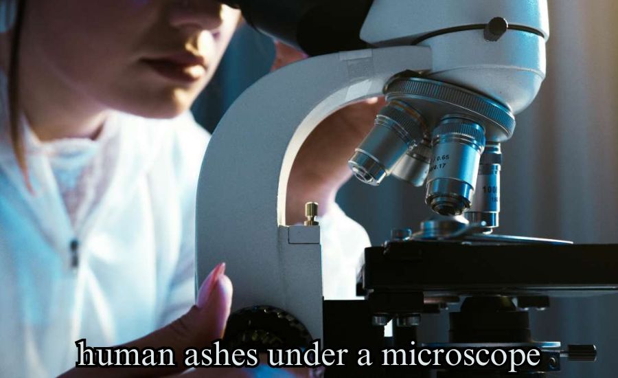 human ashes under a microscope