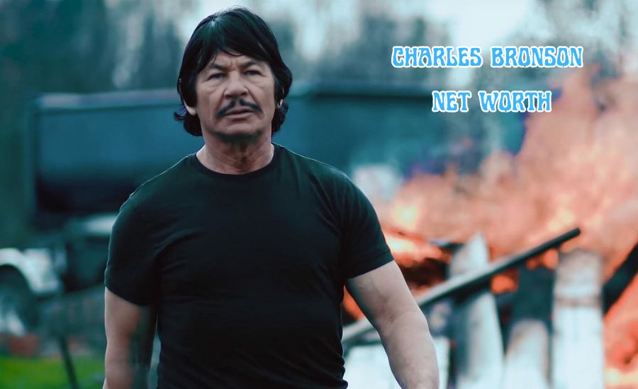 charles bronson net worth