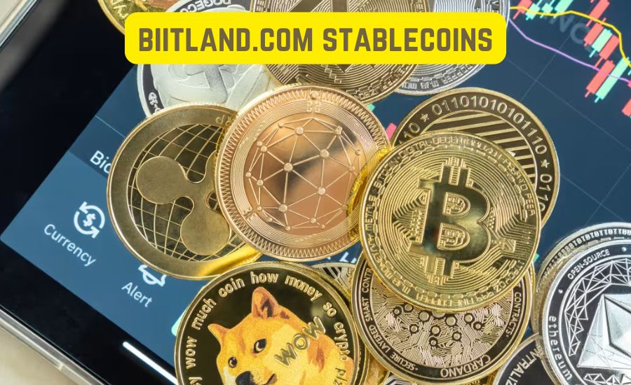 biitland.com stablecoins